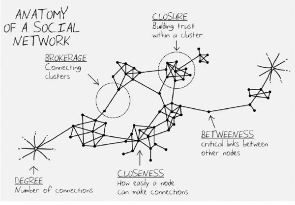 Anatomy of a Social Network